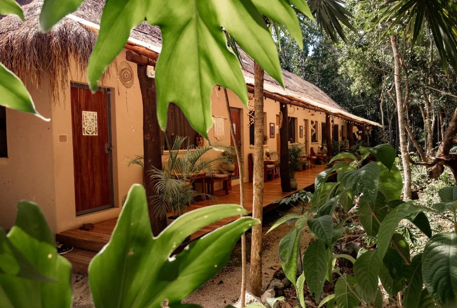 Willa Secluded Jungle Sanctuary For Large Groups Chemuyil